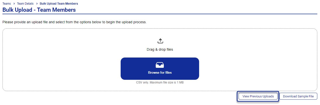 Bulk_Upload_View_Previous_Visa.png