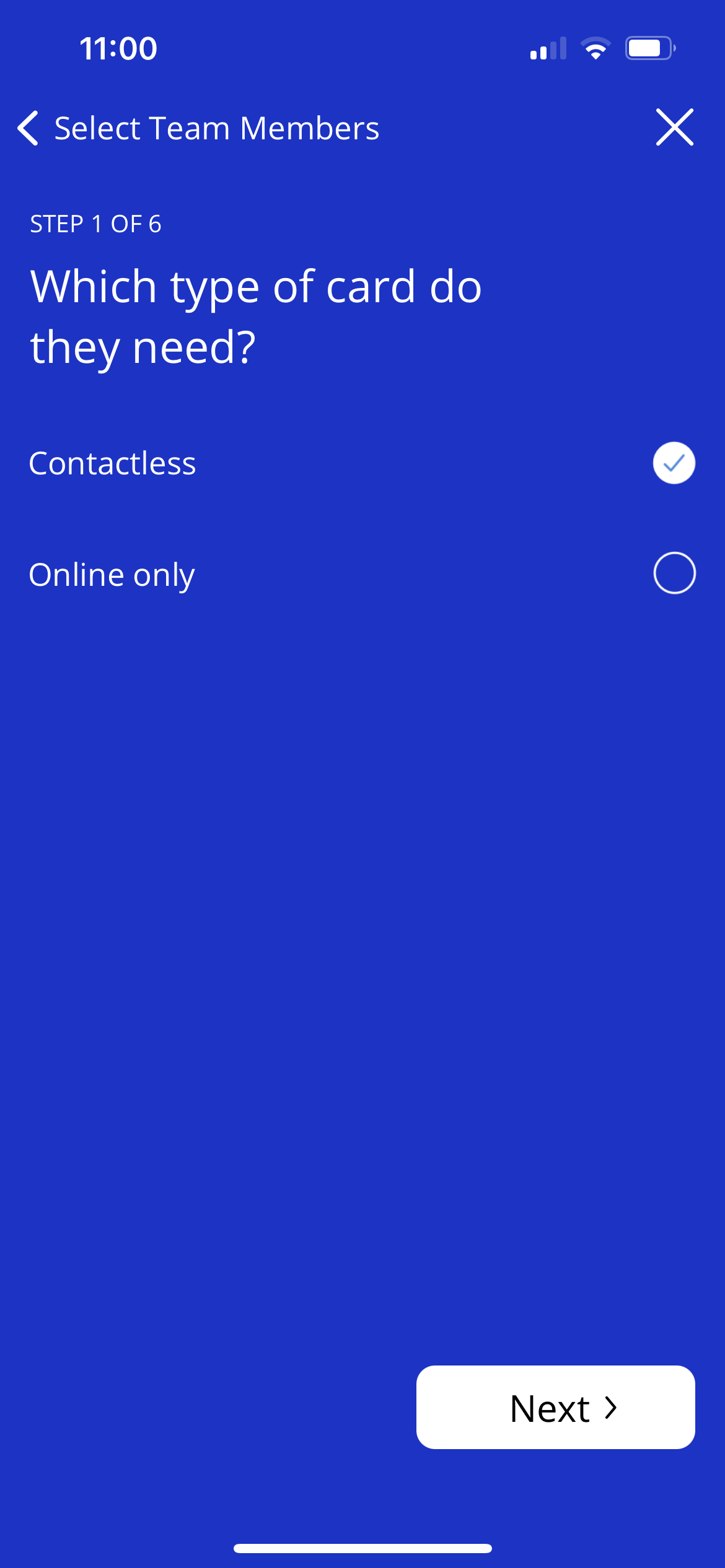 Multi_Card_Visa_5.png
