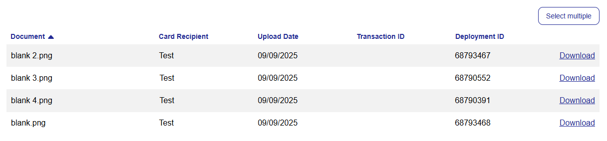 Download_Multiple_Visa_2.png
