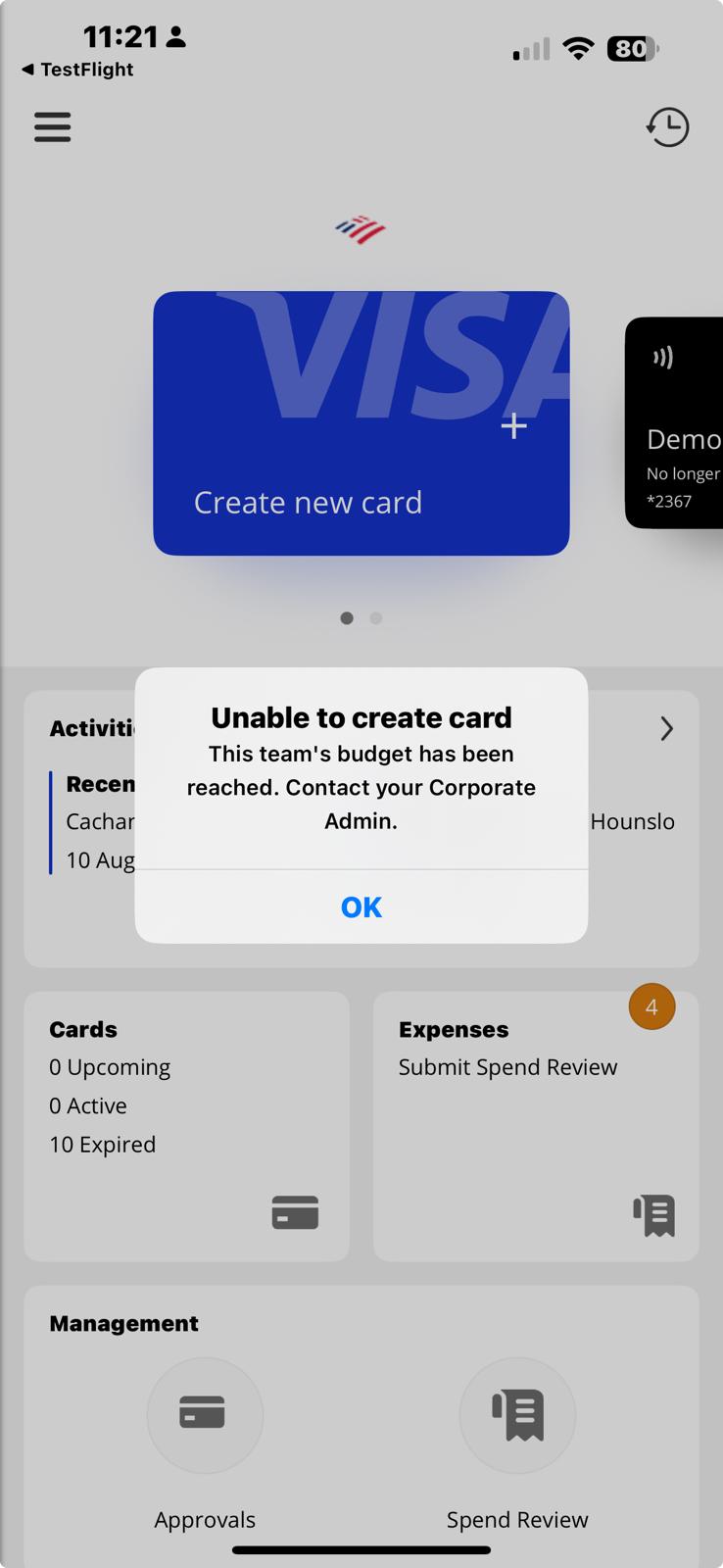 Budget_Restriction_Single_Team_Visa.jpg