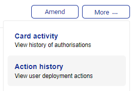 Action_History_Visa_1.png