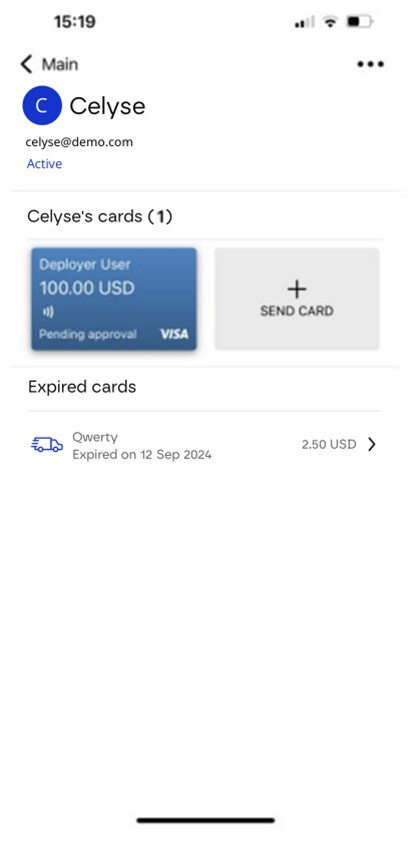Send_Card_Visa_4.jpg