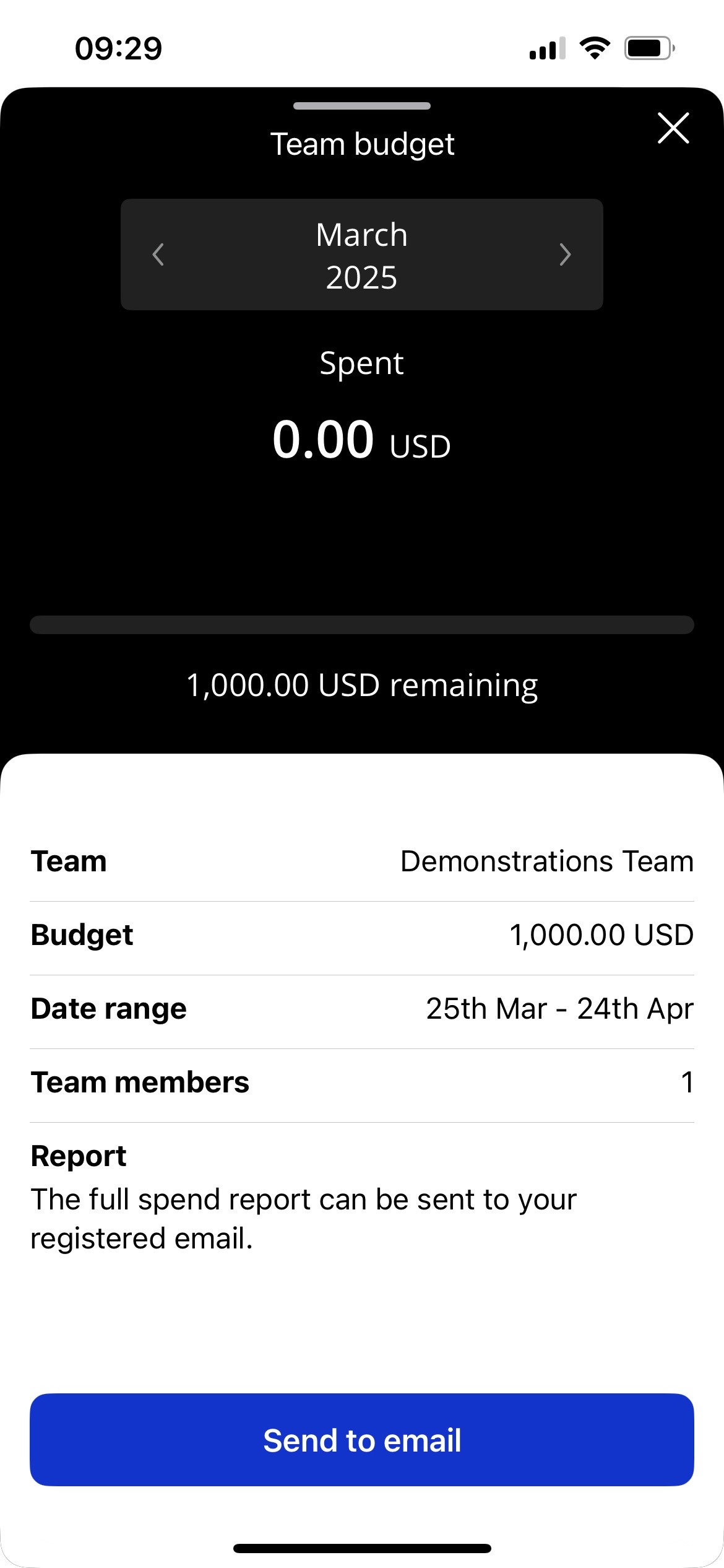 Team_Budget_1_Visa.jpg