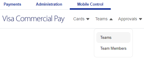 Select_a_Team_Visa.png