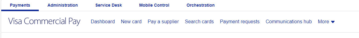 Create_a_Payment_Visa_1.png
