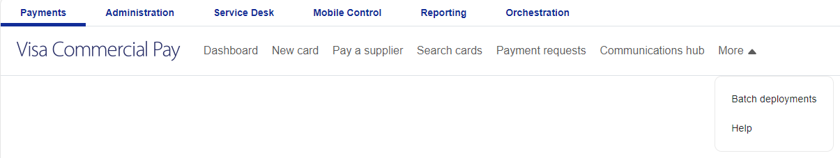 Home_Page_Visa_1.png