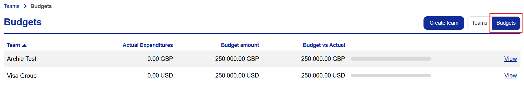 Budget_Management_-_Budget_View_Visa.png