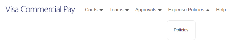 Expense_Policies_Visa_1.png