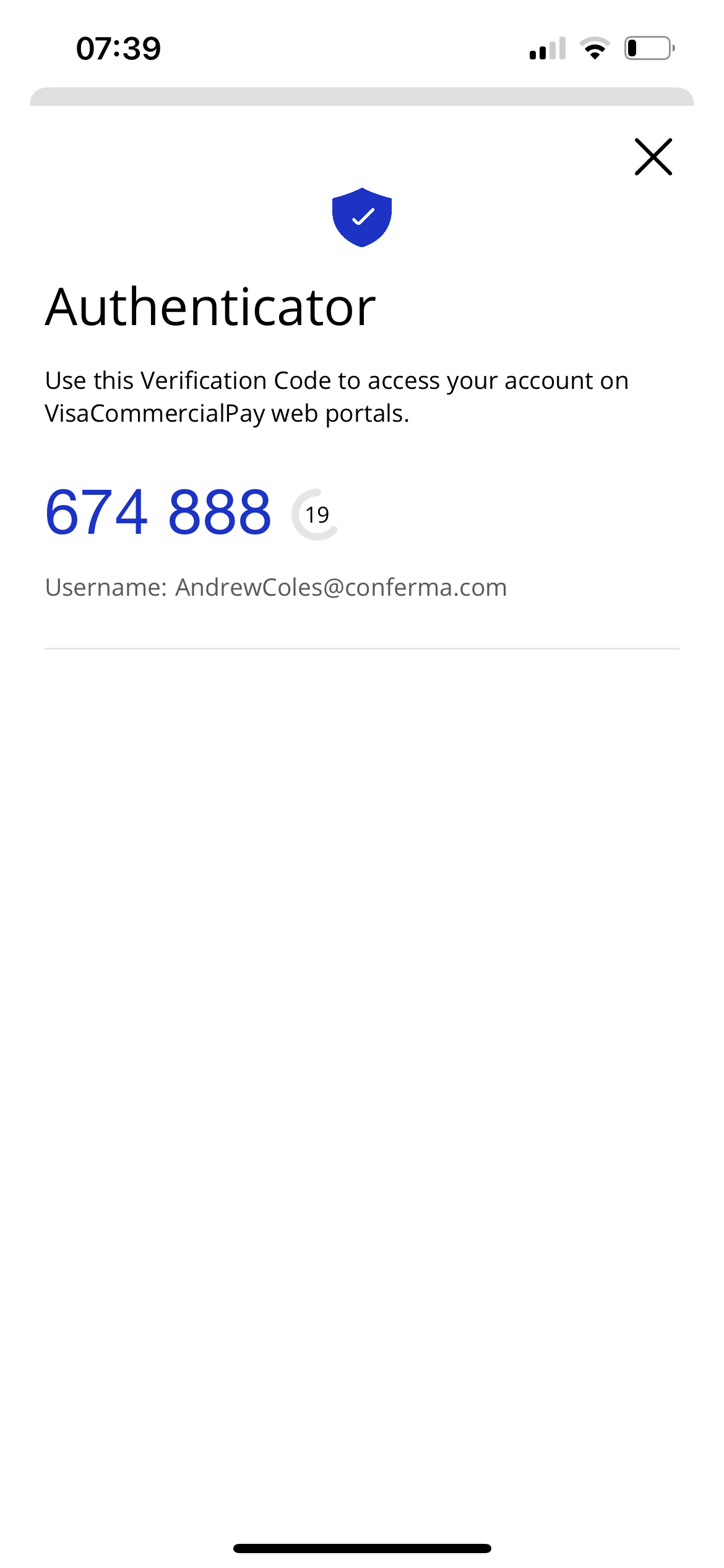 MFA_Visa_1.png