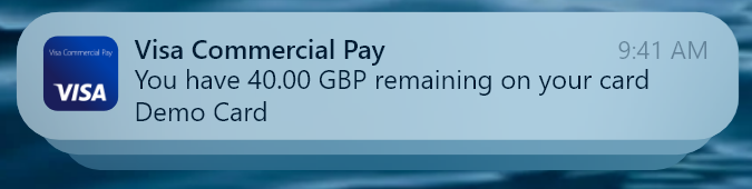 Balance_alert_notification_Visa.png