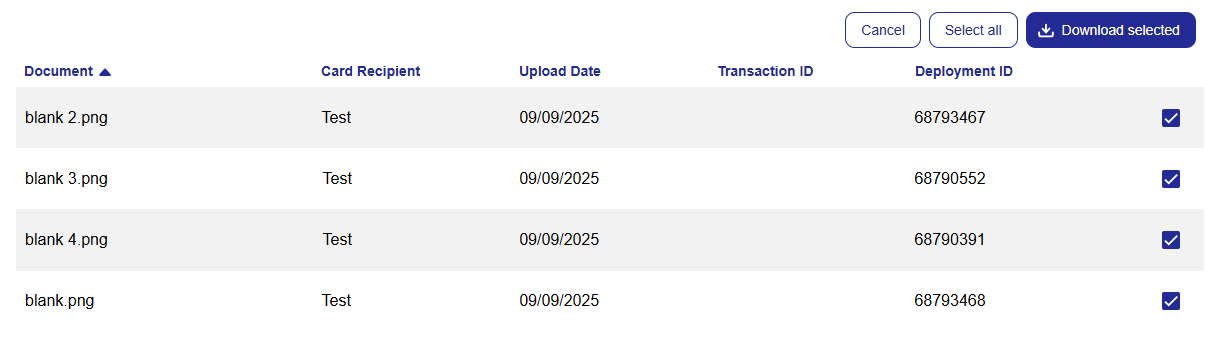 Download_Multiple_Visa_4.png