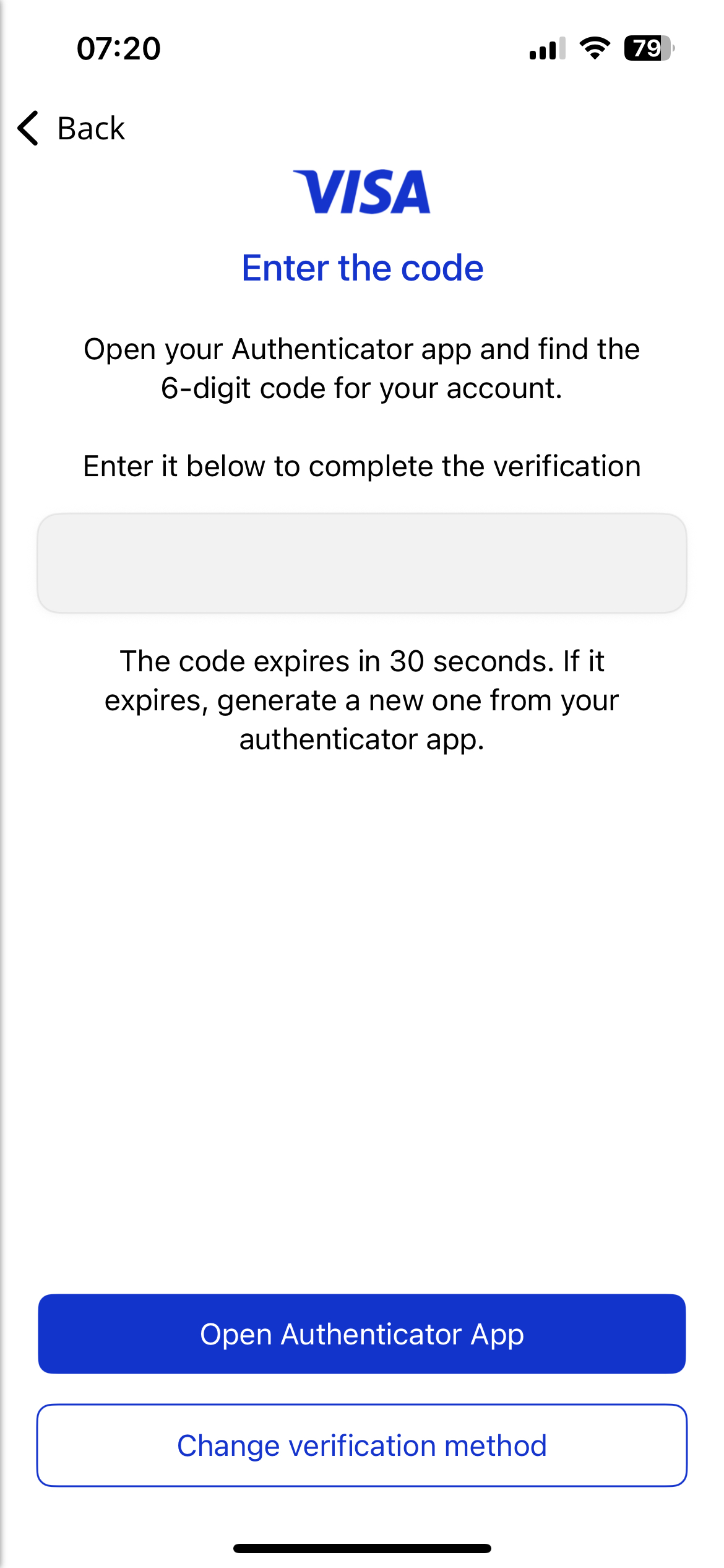 MFA_Visa_3.jpg