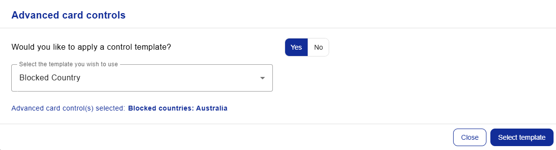 Custom_ACCs_Visa_2.png