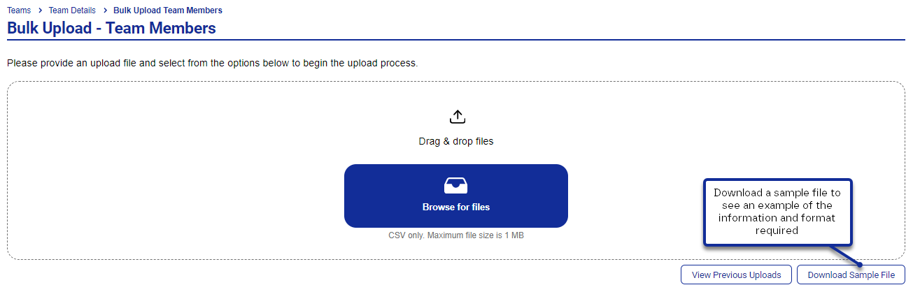 Bulk_Upload_Visa_1.png