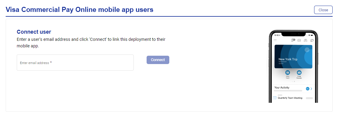 App_Users_Visa_1.png