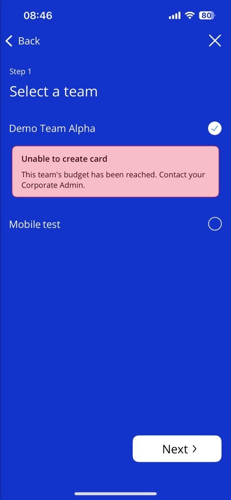 Budget_Restriction_Multi_Team_Visa.jpg