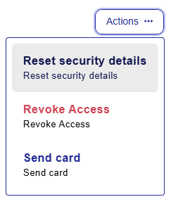 Reset_Security_Details_-_2_Visa.png