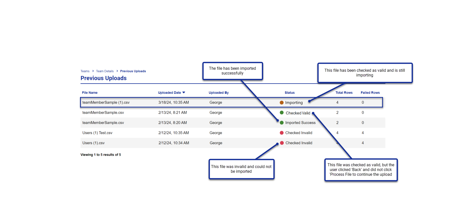 Bulk_Upload_View_Previous_2_Visa.png
