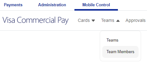 Select_Team_Members_Visa.png