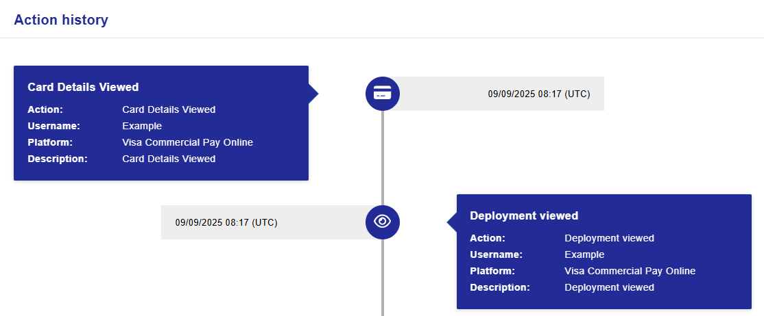 Card_Masking_Visa_3.png